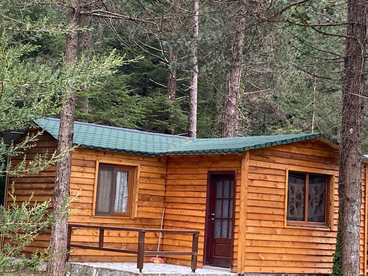 Two-Bedroom Apartment,1406796338:JPEG