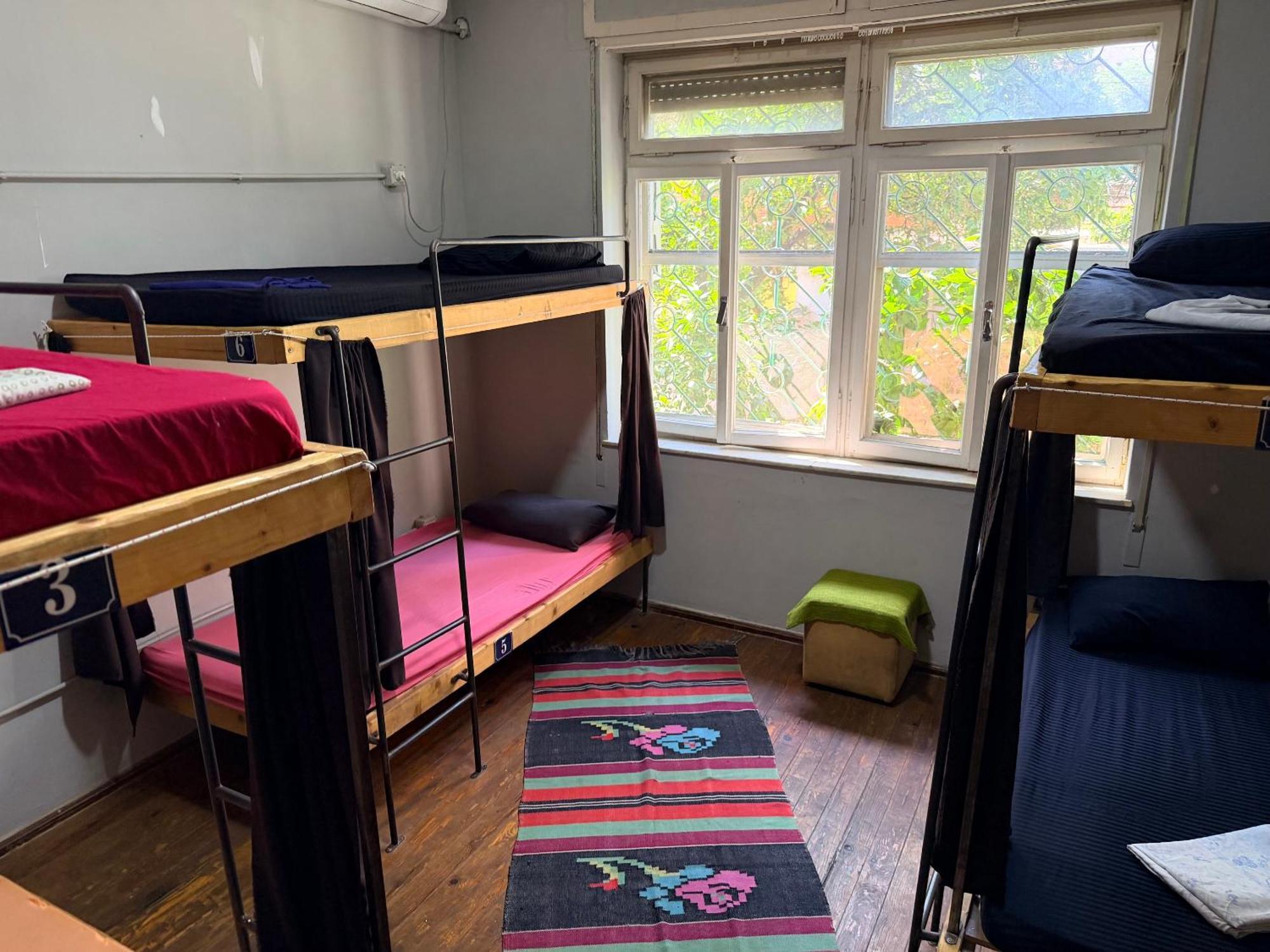 Bett im gemischten 6-Bett-Schlafsaal