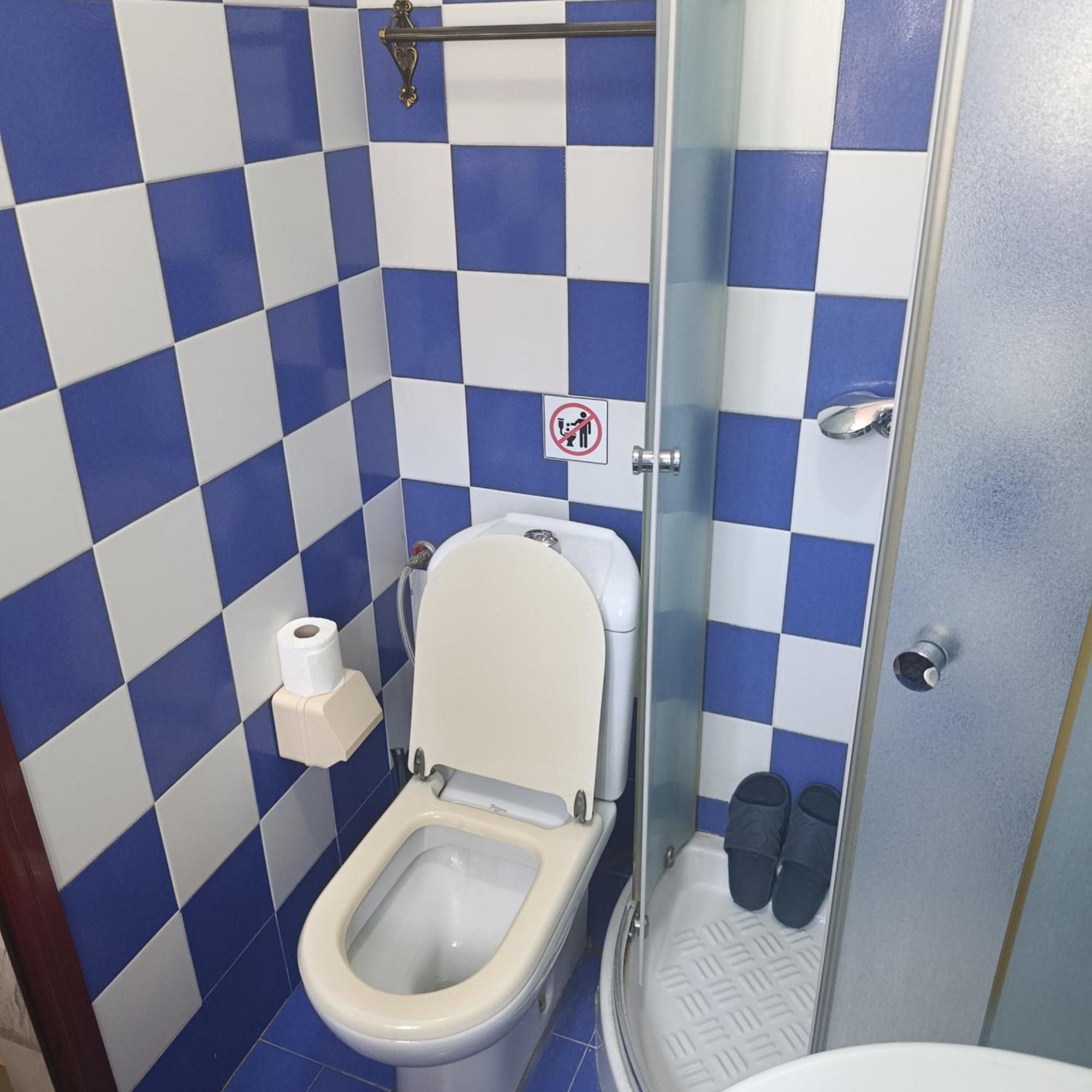 Einzelbett im gemischten Schlafsaal mit 3 Betten mit Dusche