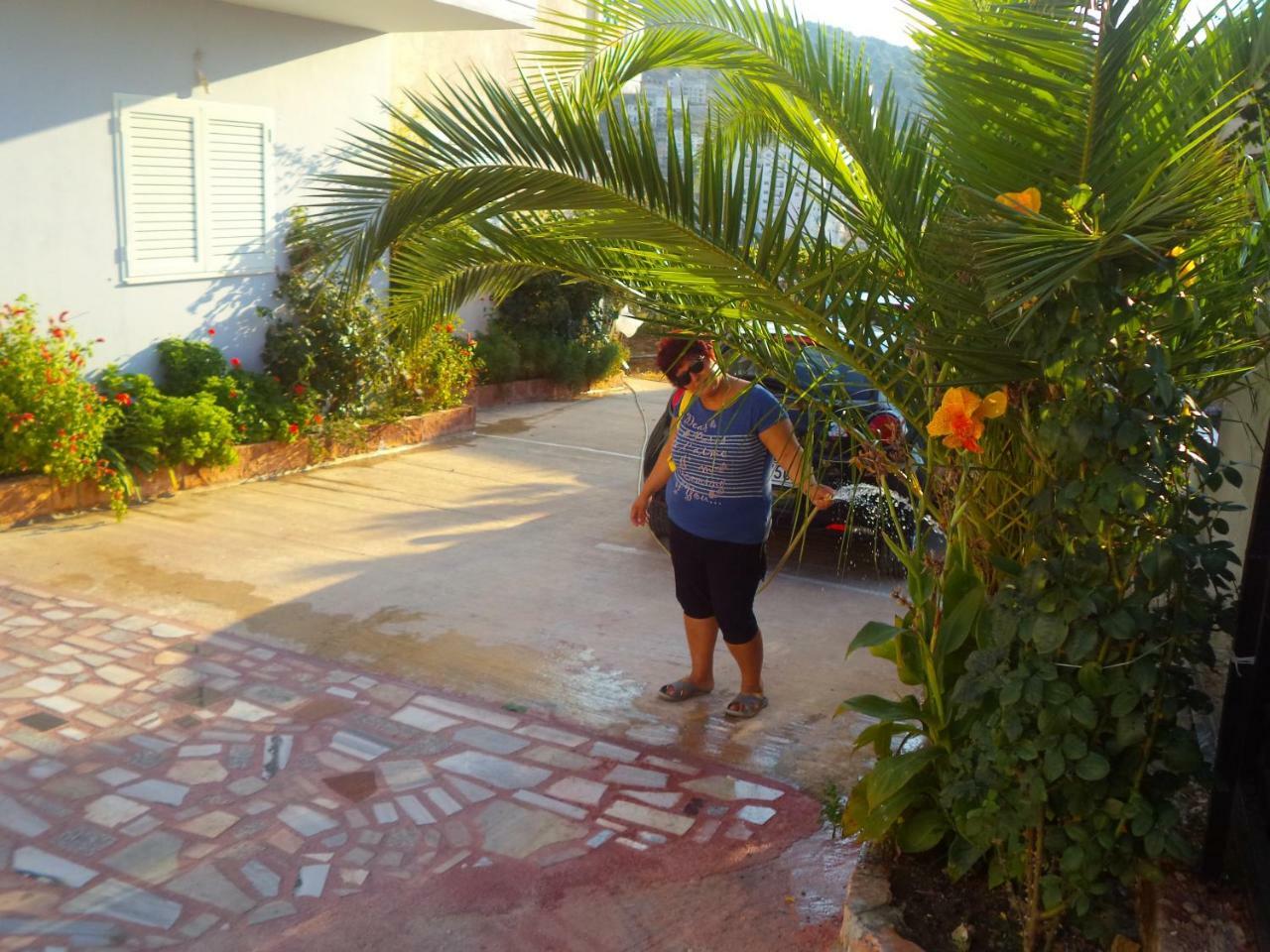 Apartment with Sea View,780789954:JPEG