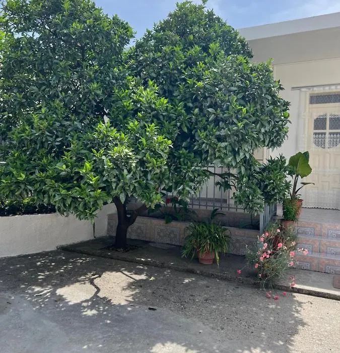 Rooms For Rent Habipi-1