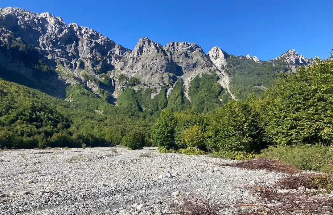 Bujtina Arturi-1