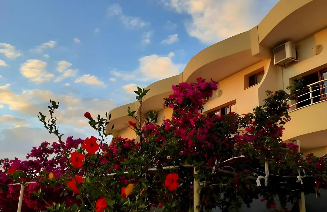 Hotel Sirena-1