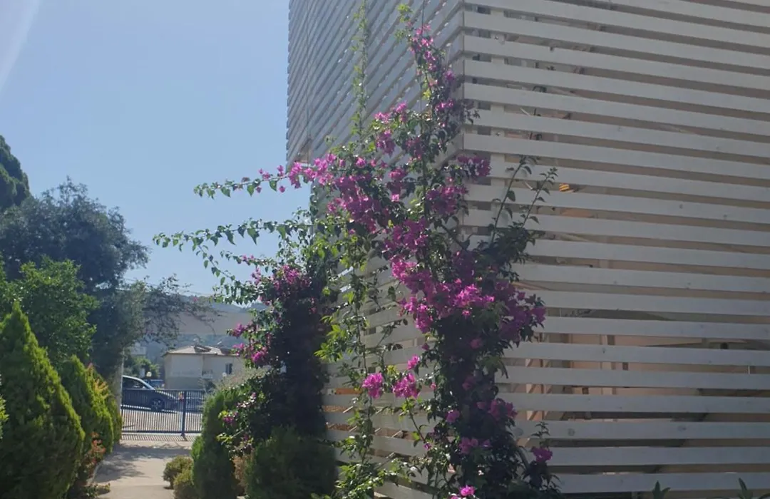 Stella Marina Family Apartment 2-1