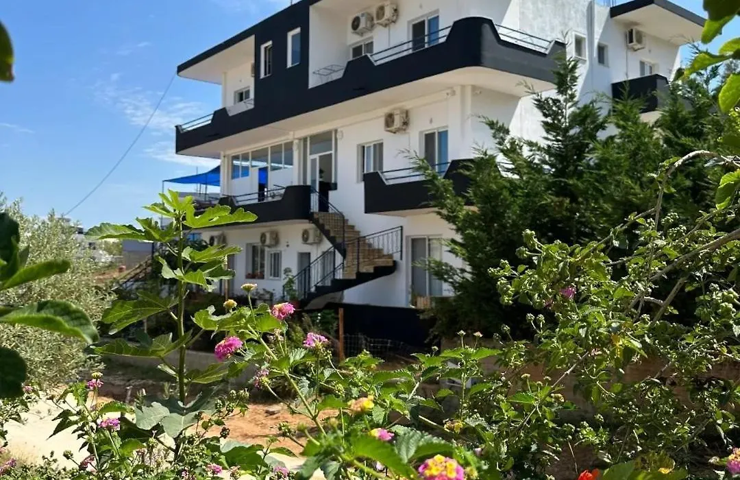 Villa Memushaj-1