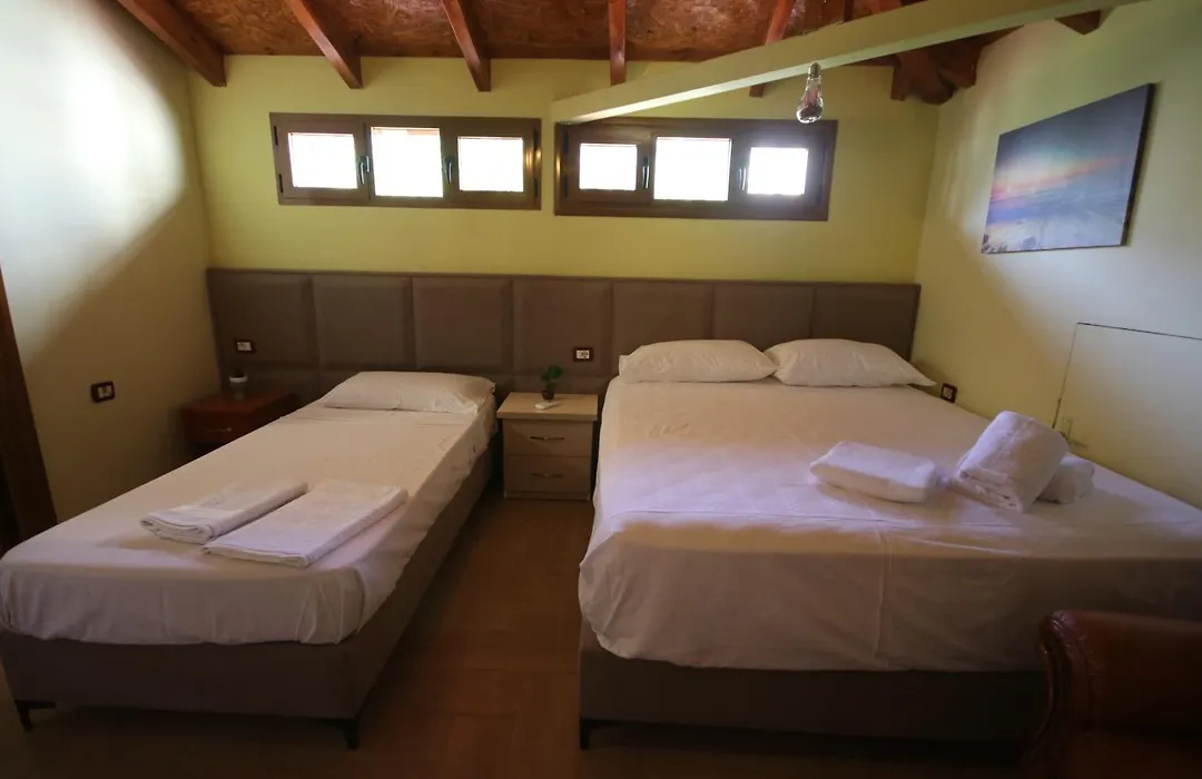 Vila Bajrami-1