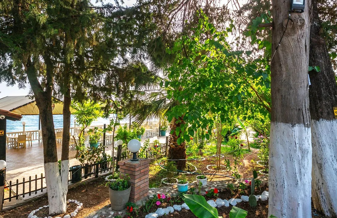 Lodges Shen Nikolla-1
