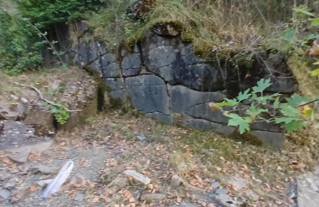 Bujtina Tusha-1