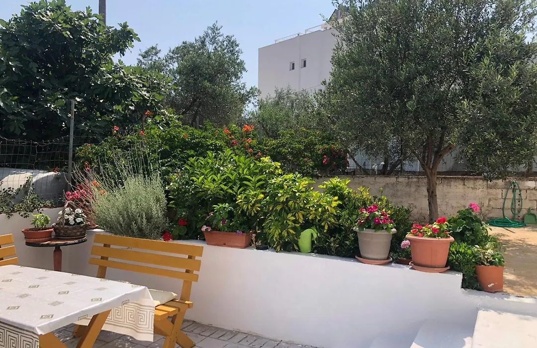 Studio Eno Ksamil-1