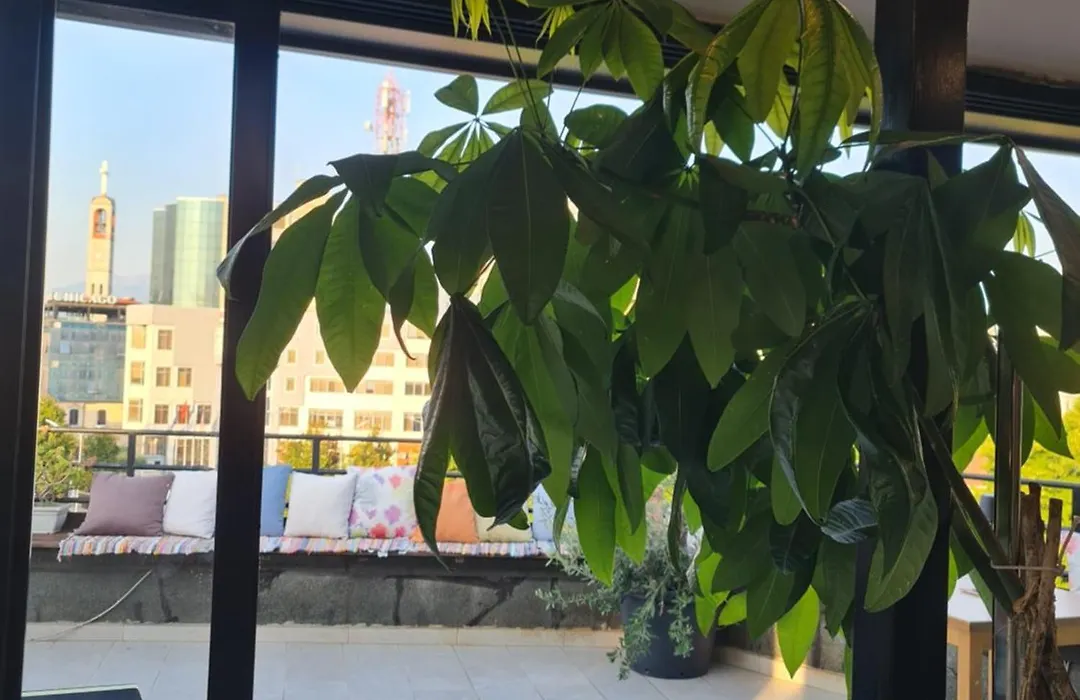 The Rooftop Hostel-1