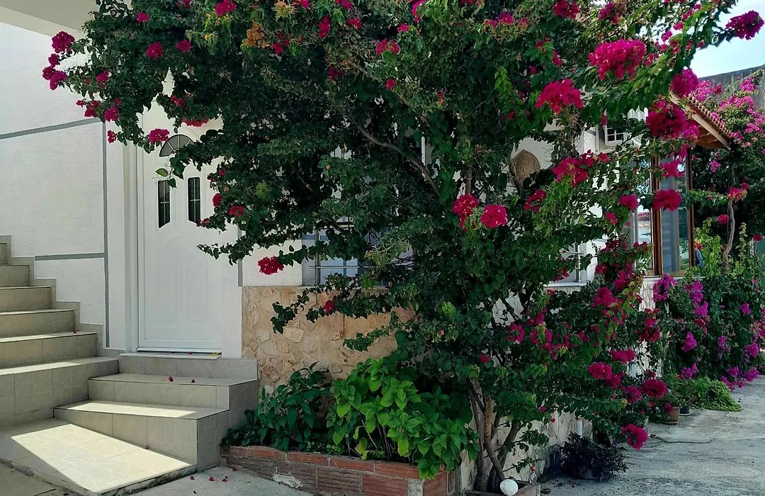 Denni'S Home-1