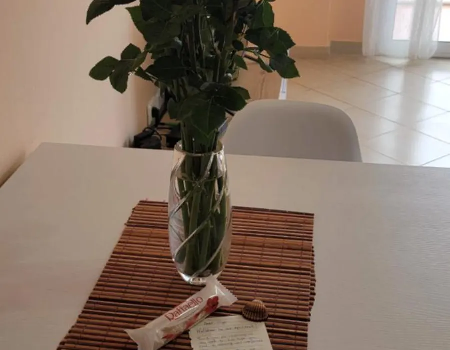 Antea Apartment 3-1