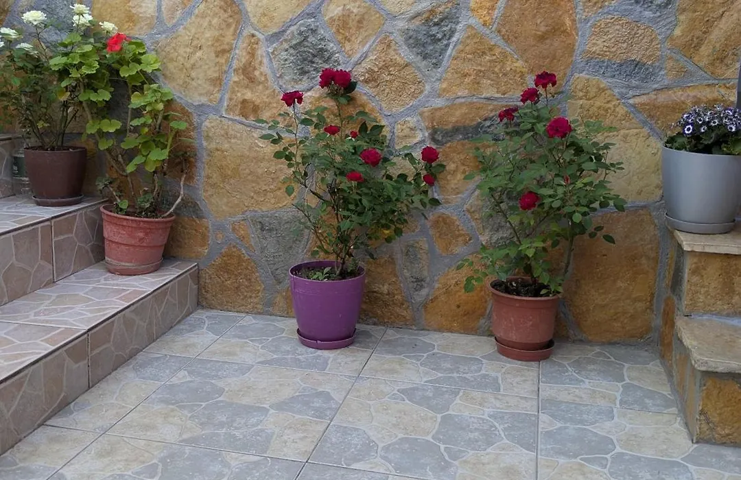 Tomor Shehu Guest House-1