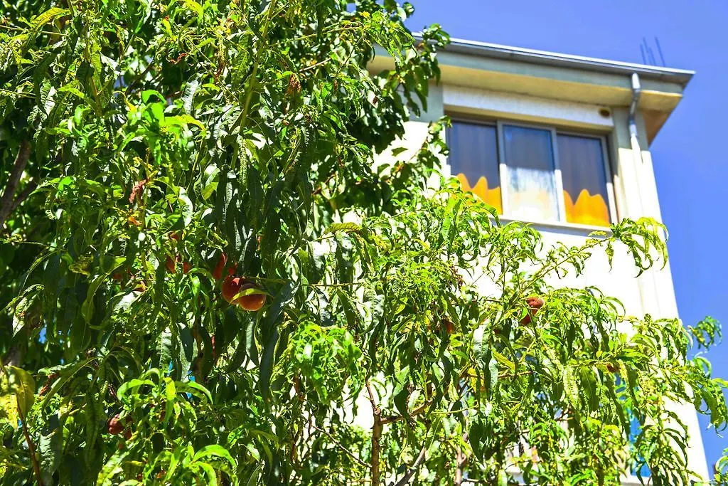 Pemaj Hostel-1