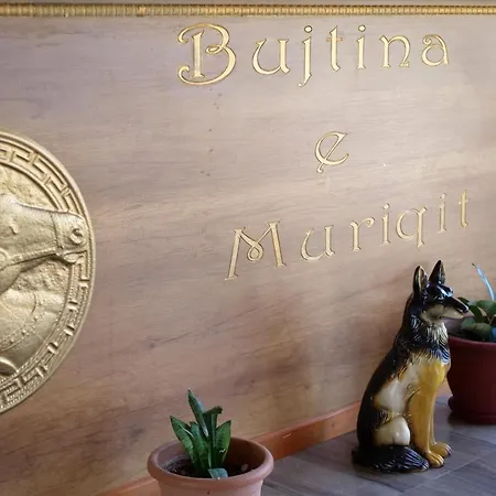 Bujtina E Muriqit-3
