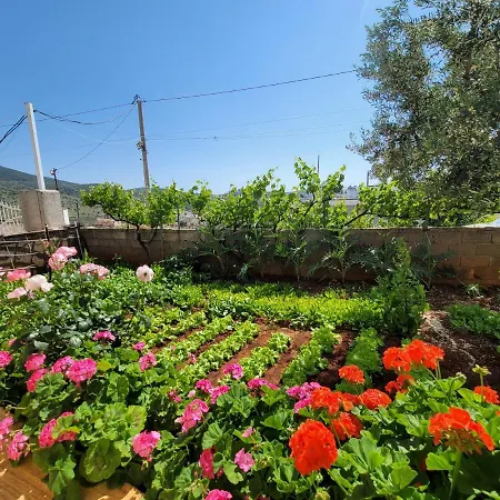 Spahiu Guesthouse-2