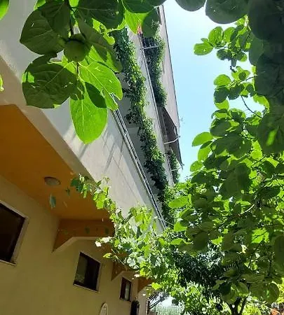 Villa Madani-2