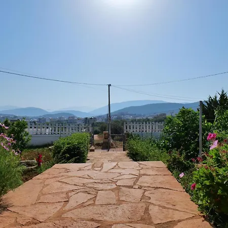 Vila Osmanaj-2