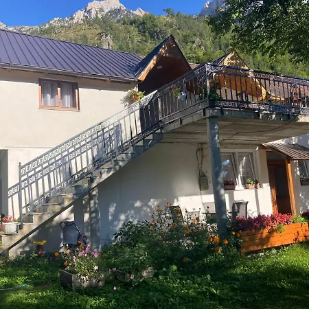 Bujtina Arturi-2