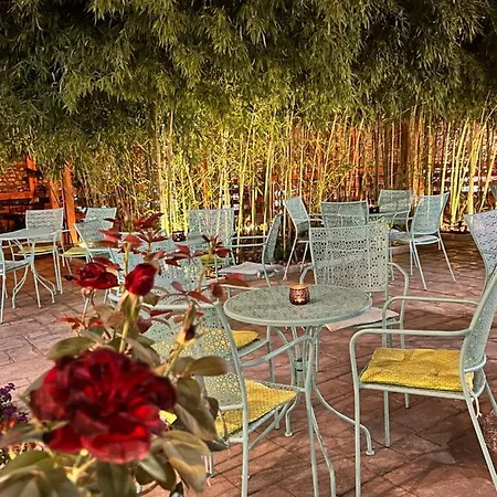 Hotel Treva-2