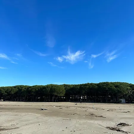 The Beach House-2