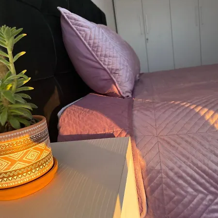 Comfy Nest Apartment- Free Parking-3