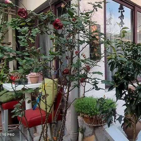 Guesthouse Hygge-3