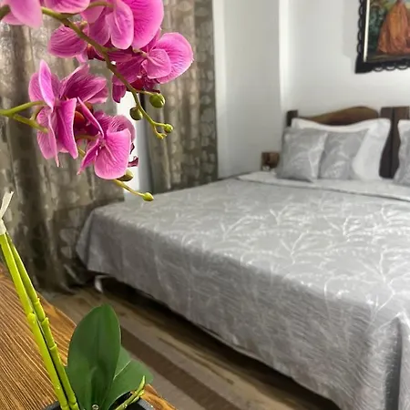 Hotel Omer-2