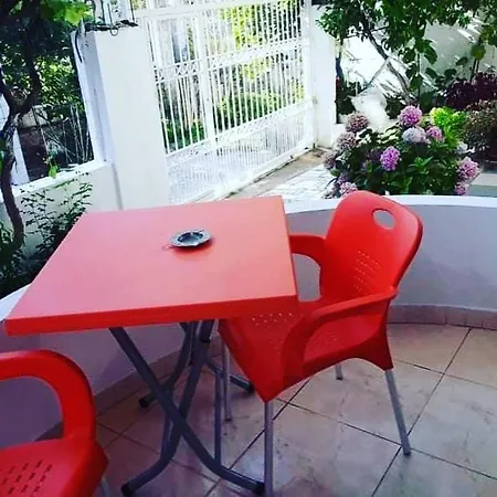 Frediveli Home-2