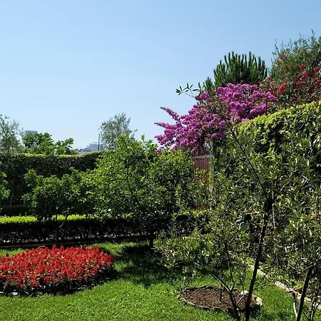 Guest Garden House-2
