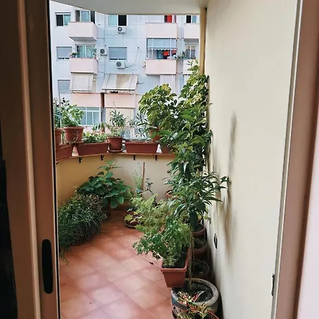 Bed & Breakfast Mina-3