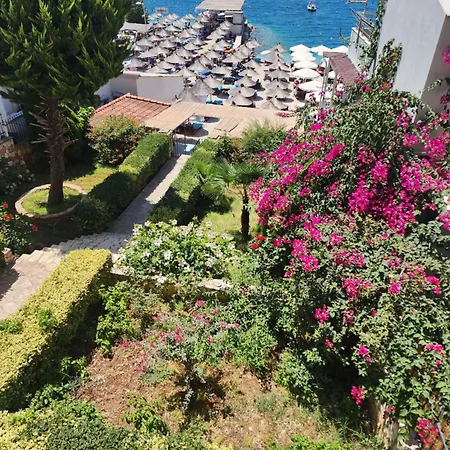 Amelie'S Apartments & Beach Saranda-3