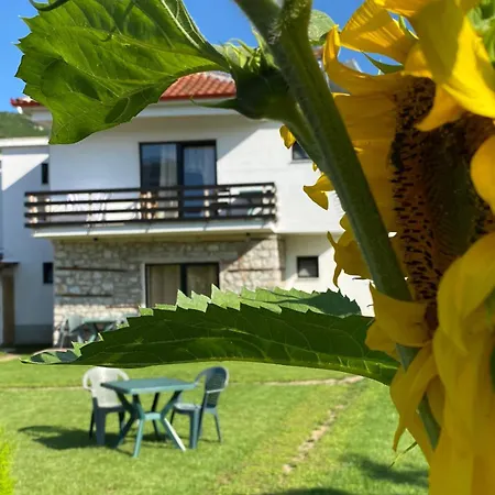 Vila Ndrio-3
