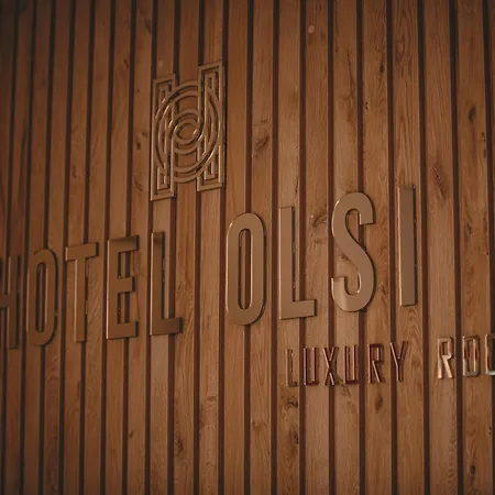Hotel Olsi-2