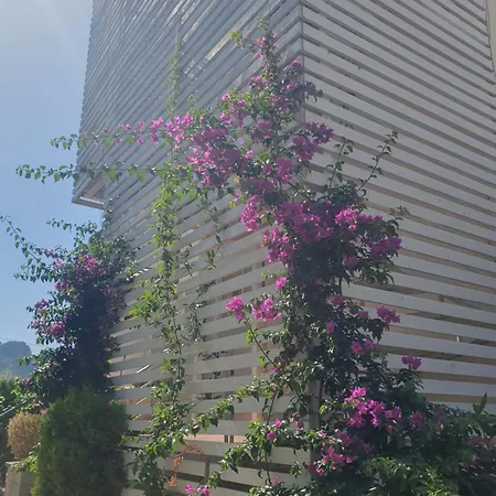 Stella Marina Family Apartment 2-3