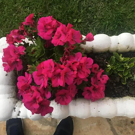 Vila Islami-2