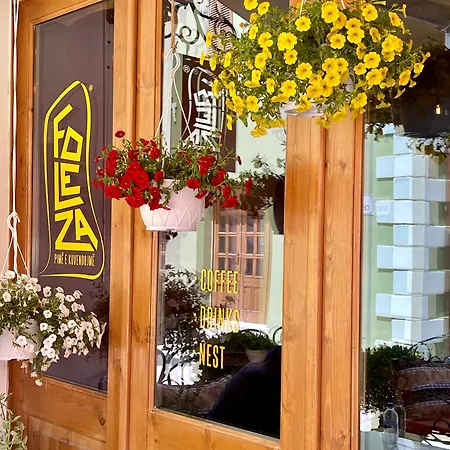 Foleza - Bed And Breakfast-3