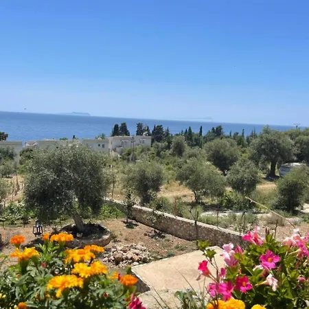 Exclusive Greccia Inn Dhermi-2