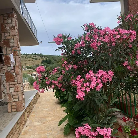 Jasmina Apartments-2