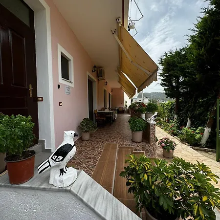 Villa Shpetim Zogaj.-2