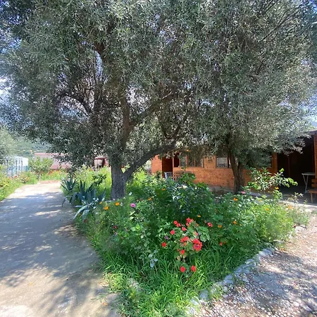 Violet Village-2