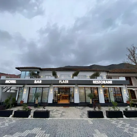 Hotel Flaer-2