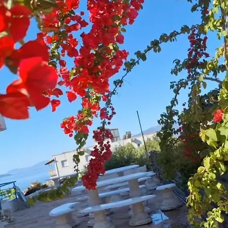 Leon Hotel Sarande-2