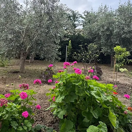 Vila Brilant-2