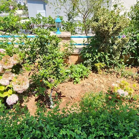 Dervishaj Apartments-2