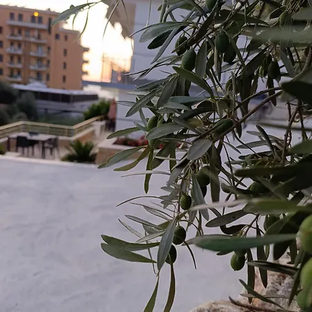 Sole Inn-3