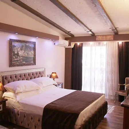 Hotel Boutique Vila Fernando Tirana-3