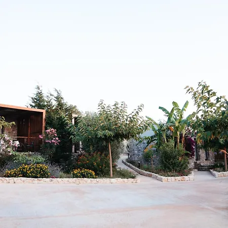 ARAMERAS Resort-2