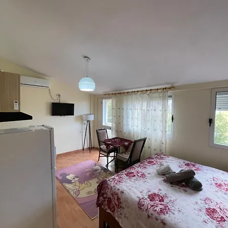 Gazi'S Apartament For Rent-2