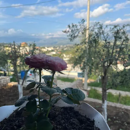 Vokopola Villa-2